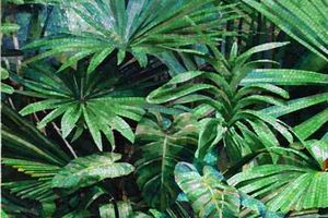 Тропический лес из мозаики
